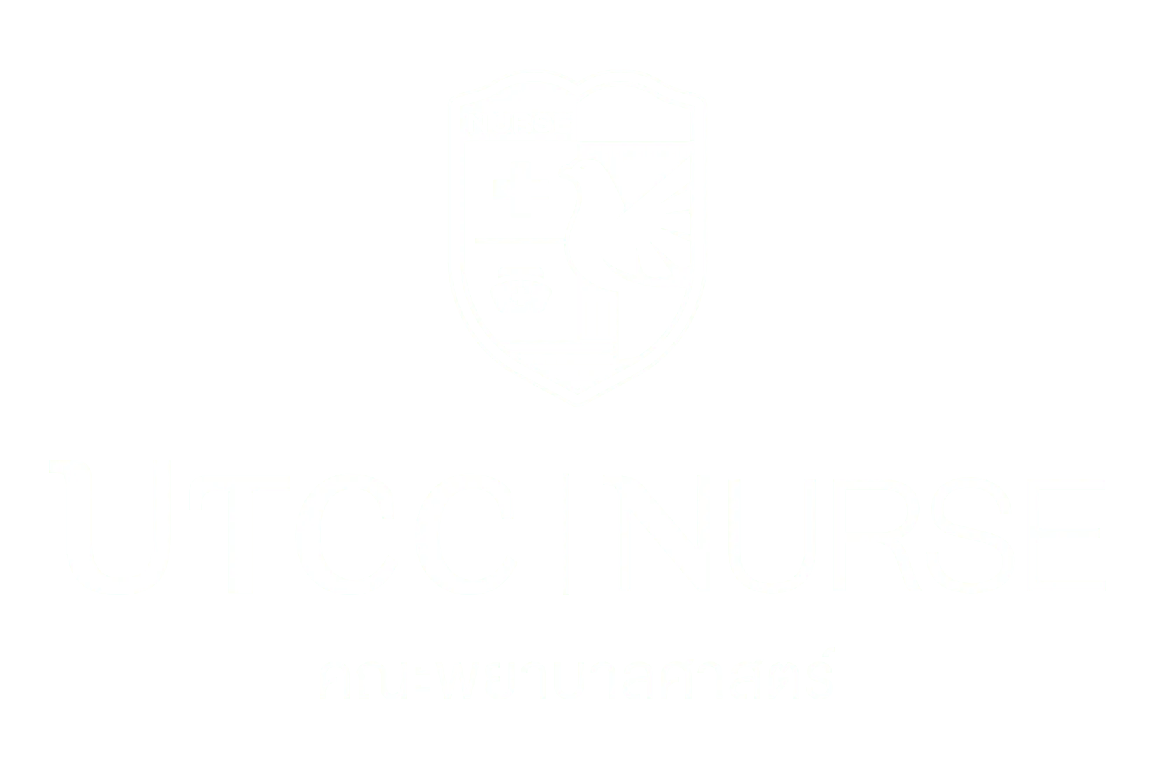 Logo คณะพยาบาลศาสตร์ มหาวิทยาลัยหอการค้าไทย